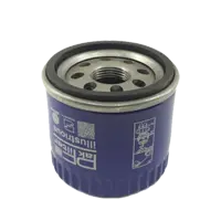 فیلتر روغن